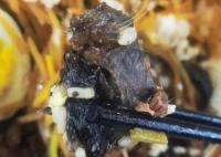 高校食堂疑吃出鼠頭 店家曾稱是牛肉 具體是什么情況?