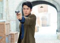 梅花紅桃盧芳芳喜歡陳家平嗎?