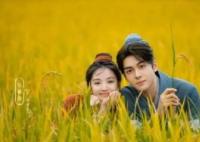 田耕紀(jì)已定檔播出時(shí)間 10月14日在愛(ài)奇藝播出