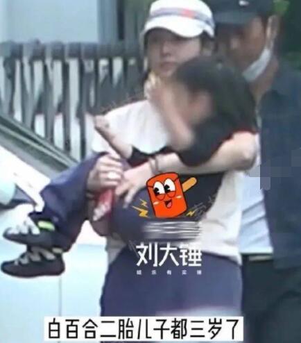 白百何又離婚了?白百何有幾個孩子?