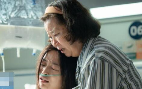 問(wèn)心楊阿姨誰(shuí)演的?