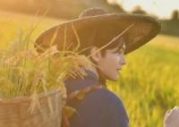 田耕紀沈諾是原著的誰?