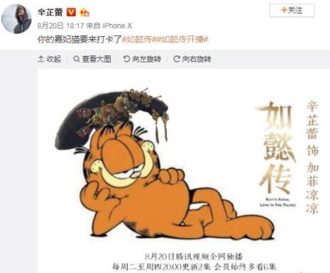 辛芷蕾為什么叫加菲貓?