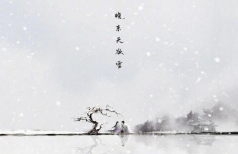 七夜雪是雙男主嗎?