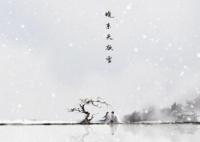 七夜雪女主人設(shè)是什么?