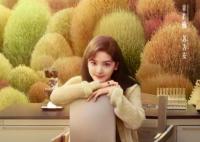 治愈系戀人主要講什么的?