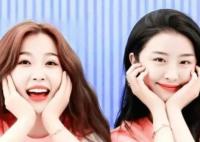 大虞海棠是真的情侶嗎?