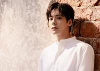 魏哲鳴演過的電視劇有哪些?