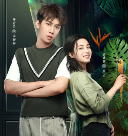 張雅欽和任宥綸是情侶嗎?