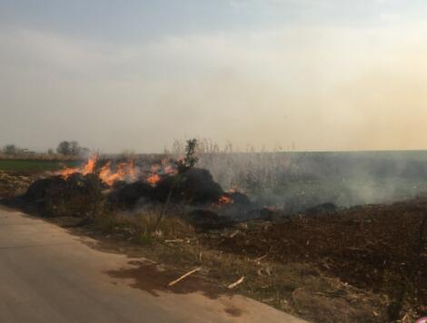 秸稈焚燒的好處與壞處 秸稈焚燒引發(fā)東北空氣重污染