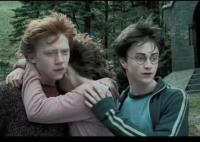 赫敏為什么喜歡羅恩而不是哈利?