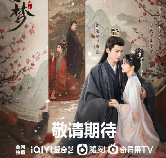 寧安如夢是于正的劇嗎