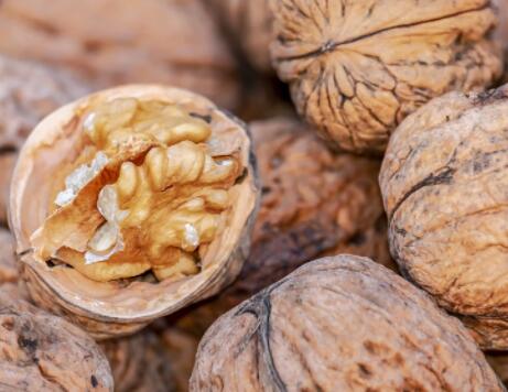 堅持吃核桃6個月會怎樣 吃核桃補腦是真的嗎