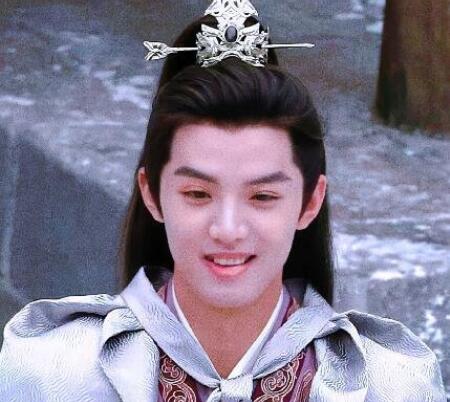 寧安如夢燕臨第二世家被抄了嗎