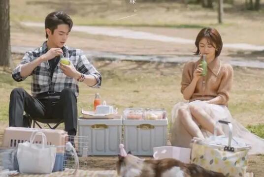 你比星光美麗原著小說叫什么