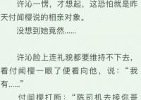 你比星光美麗和你比北京美麗是一部小說嗎