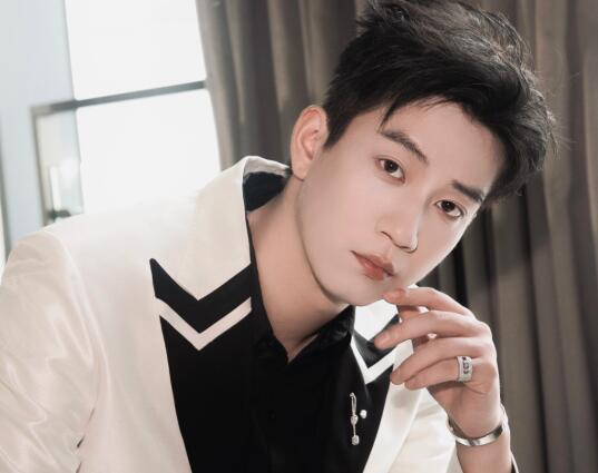 王子奇?zhèn)€人簡歷 王子奇代表作是什么