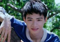 陳永勝身高多少 陳永勝個(gè)人簡介