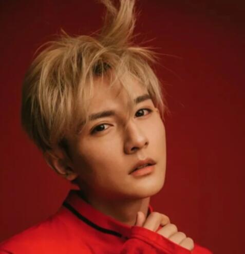 黃靖翔個人資料簡介照片及身高