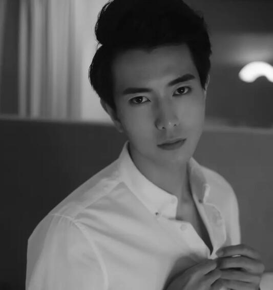 傅漢源演過的電視劇有哪些