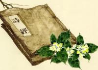 風(fēng)雅頌是內(nèi)容還是手法