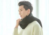 很想很想你傅漢源飾演的誰