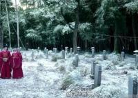 寧安如夢三百義童誰害的