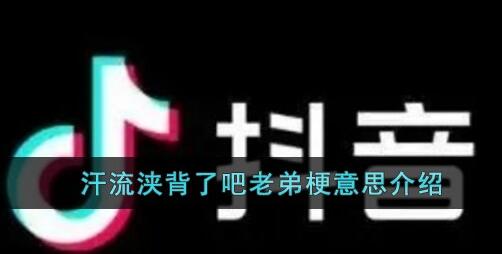 汗流浹背了吧老弟是什么意思梗