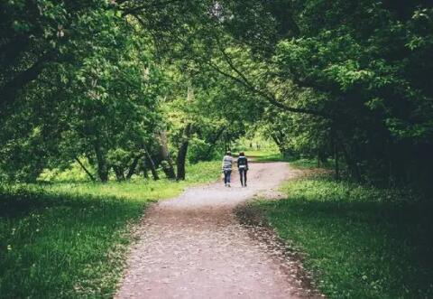 放下個人素質(zhì)享受缺德人生下一句應該怎么接