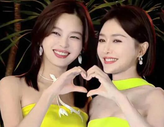 辛芷蕾和秦嵐誰(shuí)年齡大