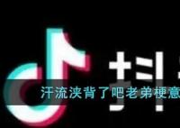 汗流浹背了吧老弟是什么意思梗