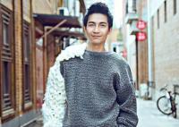 陳楚生為什么突然消失跨年演唱會(huì)