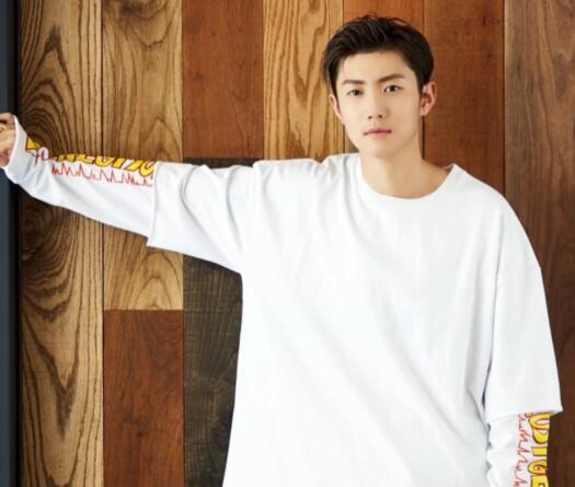 李歡個人資料簡介照片及身高