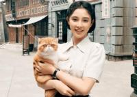 電視劇畫眉根據(jù)什么改編的