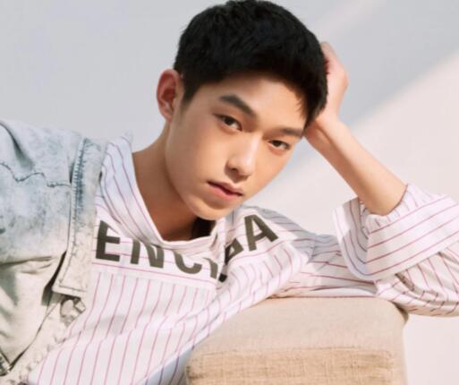 王鏘演過什么電視劇角色