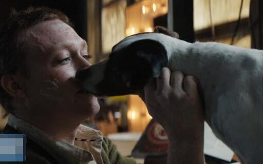 呂克貝松狗神男主是誰演的