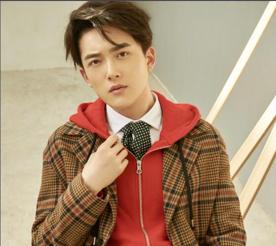 芮偉航主演的電視劇有哪些