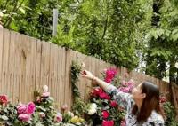 周海媚結(jié)婚了嗎 周海媚個人資料簡介