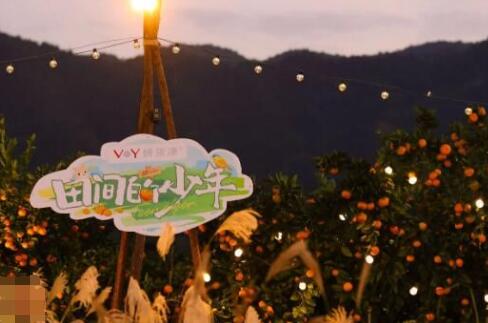 田間的少年綜藝在哪個(gè)平臺(tái)播出