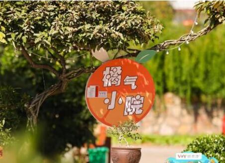 田間的少年一共有幾期