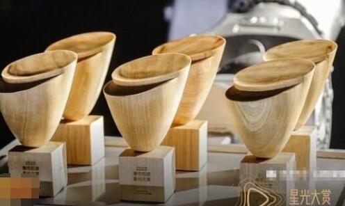 星光大賞vip之星是什么意思