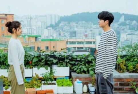 低谷醫(yī)生韓劇一共多少集