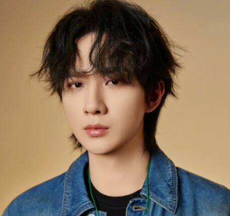 藏海傳有李宏毅嗎