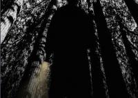 電影蹤跡原著小說叫什么