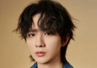 藏海傳有李宏毅嗎