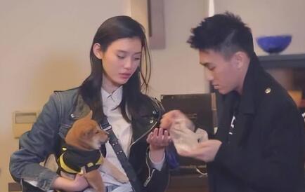 愛的修學旅行何猷君辯論哪一期