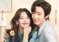 劉宇寧和劉濤什么關(guān)系