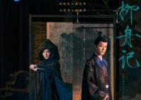 柳舟記男女主是誰演的