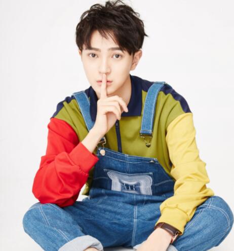 王術(shù)一有女朋友嘛 王術(shù)一個人簡歷