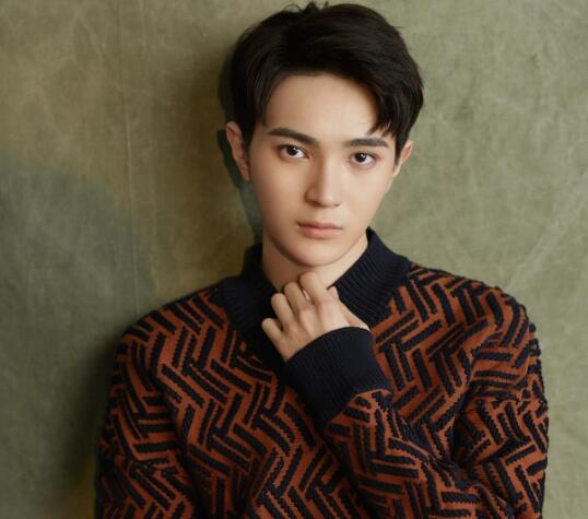 王術(shù)一個(gè)人資料簡(jiǎn)介照片及身高年齡